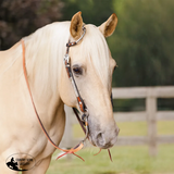 New! Schneiders® Browband Headstall with Chocolate Rawhide Accents - Country Scene Saddlery and Pet Supplies