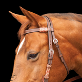 New! Schneiders® Browband Headstall with Chocolate Rawhide - Country Scene Saddlery and Pet Supplies