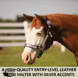 New! Schneiders® Dixie Ii Show Halter With Lead Halters