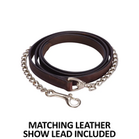 New! Schneiders® Dixie Ii Show Halter With Lead Halters