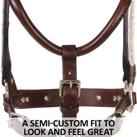 New! Schneiders® Dixie Ii Show Halter With Lead Halters