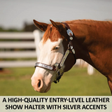 New! Schneiders® Dixie Ii Show Halter With Lead Halters