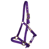 New! Schneiders® Dura-Tech® Cushion Web Halter - Country Scene Saddlery and Pet Supplies