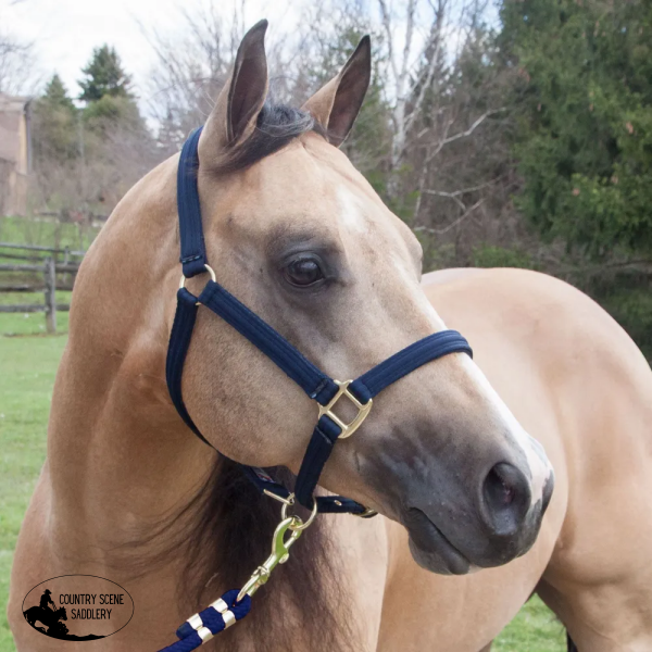 New! Schneiders® Dura-Tech® Cushion Web Halter halter