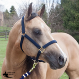 New! Schneiders® Dura-Tech® Cushion Web Halter - Country Scene Saddlery and Pet Supplies