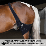New! Schneiders® EquiCare LED Therapy® Red Light Stifle Wrap - Country Scene Saddlery and Pet Supplies