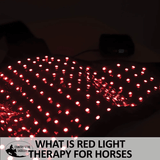 New! Schneiders® EquiCare LED Therapy® Red Light Stifle Wrap - Country Scene Saddlery and Pet Supplies