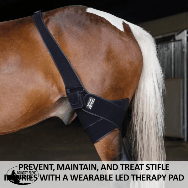 New! Schneiders® Equicare Led Therapy® Red Light Stifle Wrap Horse Tack