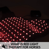New! Schneiders® EquiCare LED Therapy® Red Light Stifle Wrap - Country Scene Saddlery and Pet Supplies
