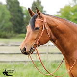 New! Schneiders® Harness Leather Browband Headstall with Tie Ends Full/Cob Harness Leather Browband Headstall with Tie
