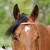 New! Schneiders® Harness Leather Browband Headstall with Tie Ends Full/Cob Harness Leather Browband Headstall with Tie