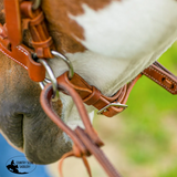 New! Schneiders® Harness Leather Decorative Nose Side Pull Billy Royal Show Halters