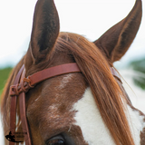 New! Schneiders® Harness Leather Decorative Nose Side Pull Billy Royal Show Halters