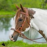 New! Schneiders® Harness Leather Decorative Nose Side Pull Billy Royal Show Halters