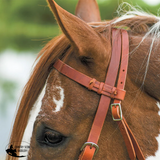 New! Schneiders® Harness Leather Decorative Nose Side Pull Billy Royal Show Halters