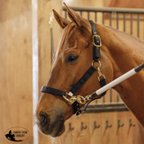 New! Schneiders® Magnetic Therapy Calming Nylon Stable Halter Full Western Tack Sets