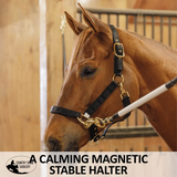 New! Schneiders® Magnetic Therapy Calming Nylon Stable Halter Western Tack Sets