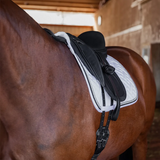 NEW! Schneiders® Monoflap Dressage Saddle Dressage Saddle