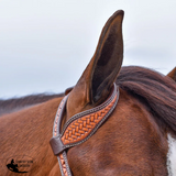 New! Schneiders® One Ear Bosal Set - Country Scene Saddlery and Pet Supplies