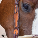 New! Schneiders® One Ear Bosal Set - Country Scene Saddlery and Pet Supplies