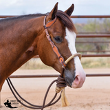 New! Schneiders® One Ear Bosal Set - Country Scene Saddlery and Pet Supplies