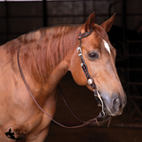 New! Schneiders® One Ear Diamond Tooled Silver Concho Ranch Headstall - Country Scene Saddlery and Pet Supplies