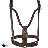 New! Schneiders® Phoenix II Silver Show Halter with Lead Billy Royal Show Halters