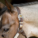 New! Schneiders® Phoenix II Silver Show Halter with Lead Billy Royal Show Halters