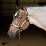 New! Schneiders® Phoenix II Silver Show Halter with Lead - Country Scene Saddlery and Pet Supplies
