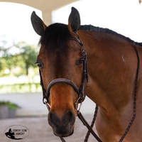 New! Schneiders® Pro Series Classic Hunter Bridle With Fancy Stitching