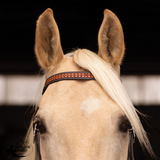 New! Schneiders® Ranch Turquoise Concho Two-Tone Browband Headstall - Country Scene Saddlery and Pet Supplies