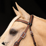 New! Schneiders® Ranch Turquoise Concho Two-Tone Browband Headstall - Country Scene Saddlery and Pet Supplies