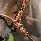 New! Schneiders® Rolled Nose Leather Side Pull - Full Horse - Hackamore