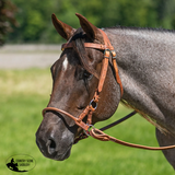 New! Schneiders® Rolled Nose Leather Side Pull - Full Horse - Hackamore