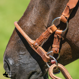 New! Schneiders® Rolled Nose Leather Side Pull - Full Horse - Hackamore