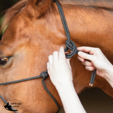 New! Schneiders® Rope Halter with Safety Breakaway Tab - Country Scene Saddlery and Pet Supplies