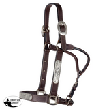 New! Schneiders® Simply Silver Show Halter with Lead - Country Scene Saddlery and Pet Supplies