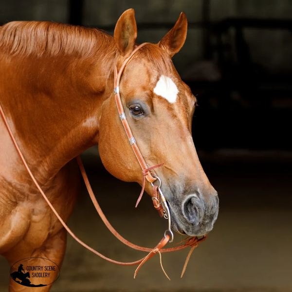 New! Schneiders® Split Ear Silver Show Headstall Full Draft Horse Girth