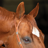 New! Schneiders® Split Ear Silver Show Headstall Full Draft Horse Girth