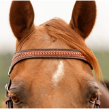 New! Schneiders® Tooled Concho Browband Ranch Headstall Western Bridle