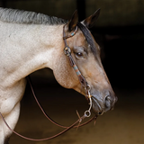 New!Schneiders® Turquoise Rawhide Rolled One Ear Headstall - Country Scene Saddlery and Pet Supplies
