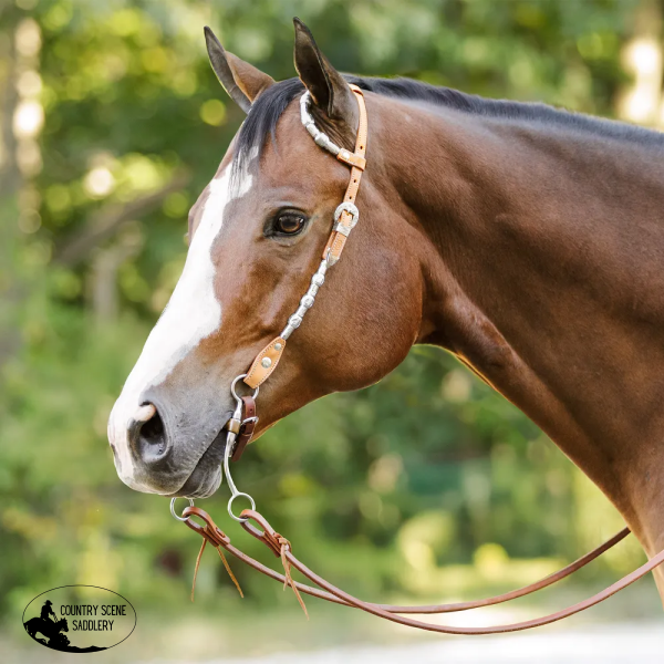 New! Schneiders® Two Ear Silver Plated Concho Western Show Headstall Western Bridle
