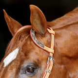 New! Schneiders® Two Ear Silver Plated Western Show Headstall - Country Scene Saddlery and Pet Supplies