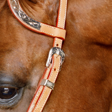 New! Schneiders® Two Ear Silver Plated Western Show Headstall - Country Scene Saddlery and Pet Supplies