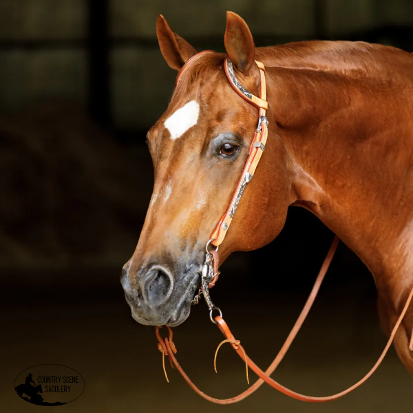 New! Schneiders® Two Ear Silver Plated Western Show Headstall Western Bridle