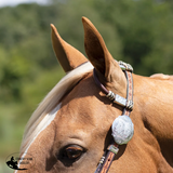 New! Schneiders® Two Ear Tooled Show Headstall with Rawhide Accents - Country Scene Saddlery and Pet Supplies
