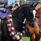 New! Show Colour Bucket Kit Pony - Country Scene Saddlery and Pet Supplies