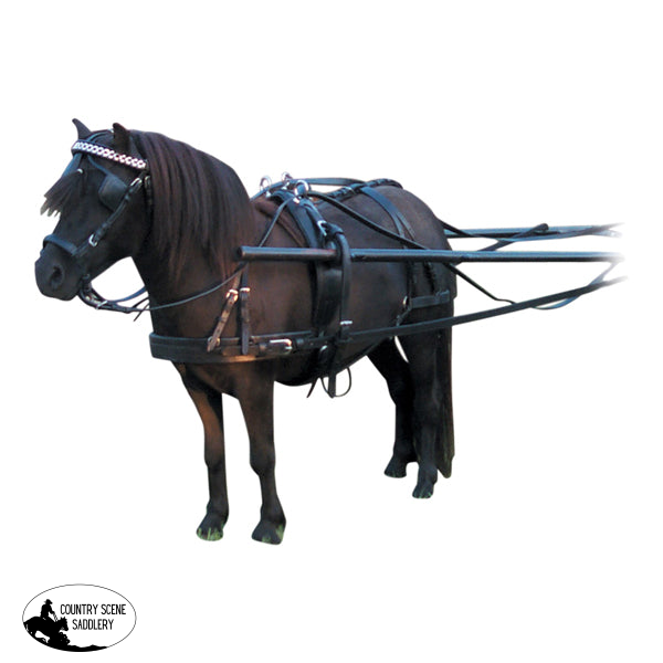 New! Showcraft – Synthetic Harness Trot