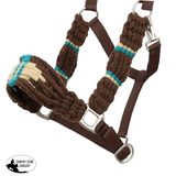 New! Showman Brown and Teal Wool Nose Nylon Halter - Country Scene Saddlery and Pet Supplies