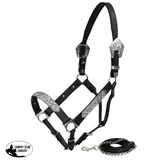 New! Showman Horse Size double stitched leather show halter with engraved silver plates accented with aqua rhinestones - Country Scene Saddlery and Pet Supplies